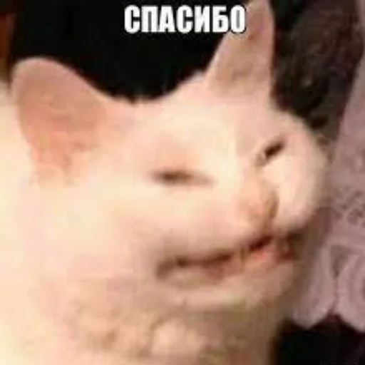 🙂 Стикер «my_SticPack» для Telegram