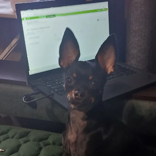 💻 Стикер «Alma moment» для Telegram