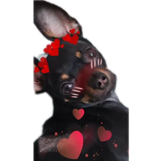 ❤ Стикер «Alma moment» для Telegram
