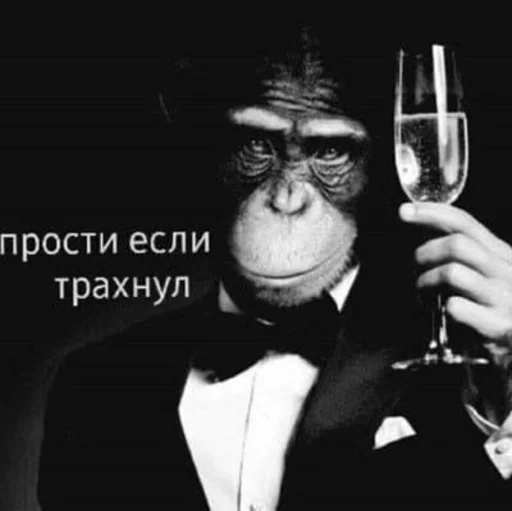 🐵 Стикер «Пак с нуля» для Telegram