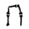 Стикер 17 bones
