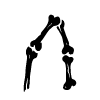 Стикер 13 bones