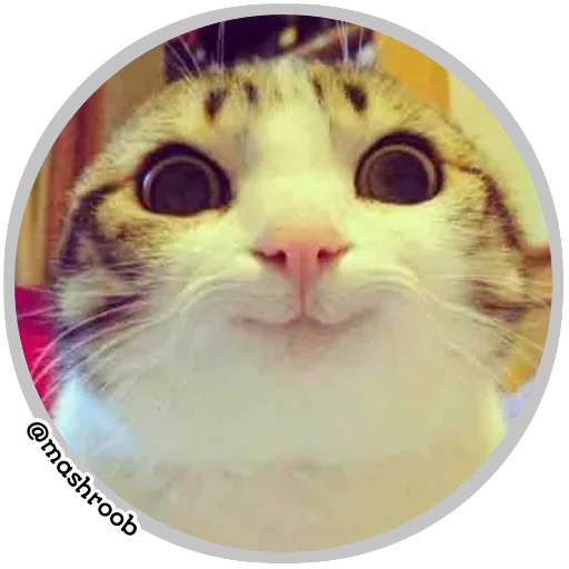 😊 Стикер «عمه پلاس» для Telegram