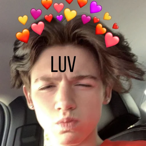 ❤️ Стикер «American&;s tiktok??» для Telegram