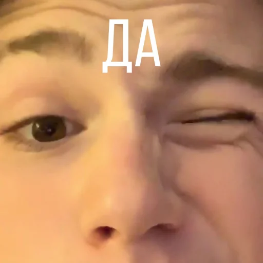 👌 Стикер «American&;s tiktok??» для Telegram