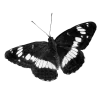 Стикер 25 ᦔꫀꪖ𝓽ꫝ