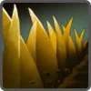 1️⃣ Эмодзи «Dota 2 Скиллы 3» для Telegram