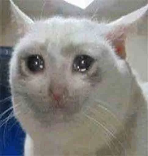 😿 Стикер «amir aria» для Telegram