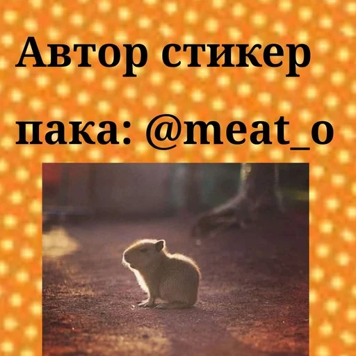 🌟 Стикер «viva project» для Telegram