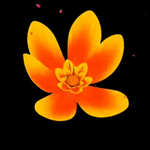 ❤ Стикер «Amor» для Telegram