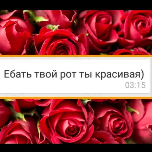 ❤️ Стикер «Жми сюда» для Telegram