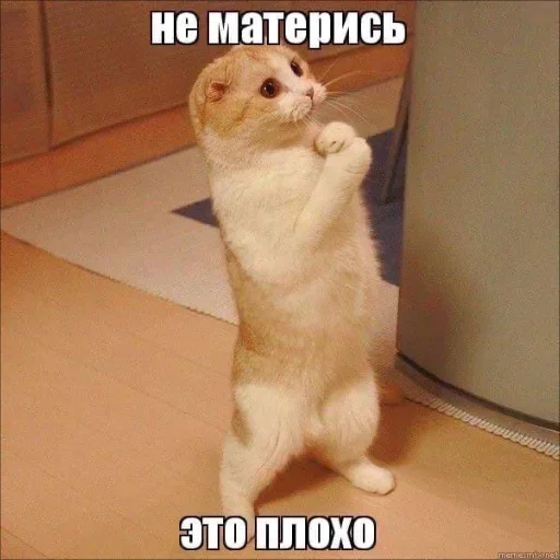 ❤️ Стикер «Жми сюда» для Telegram