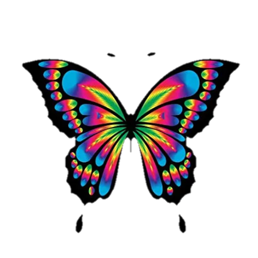 🦋 Стикер «La Patrona 593» для Telegram