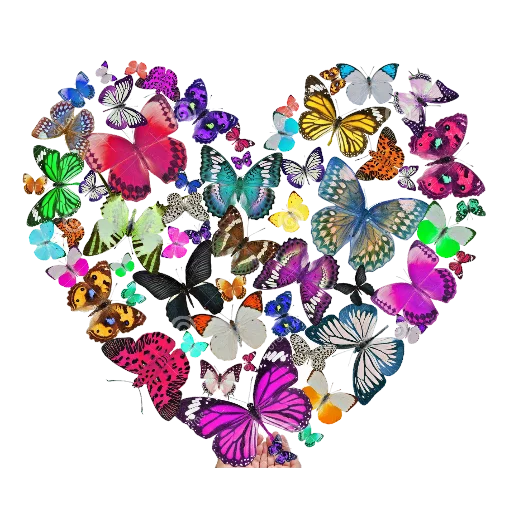 ❤️ Стикер «La Patrona 593» для Telegram