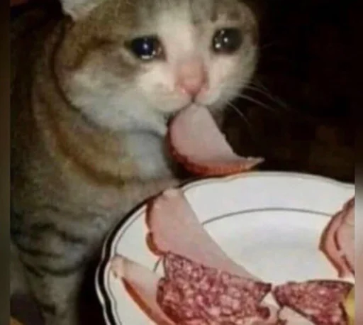 🥓 Стикер «ಥ_ಥ» для Telegram