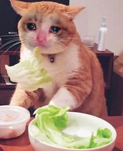 🥬 Стикер «ಥ_ಥ» для Telegram