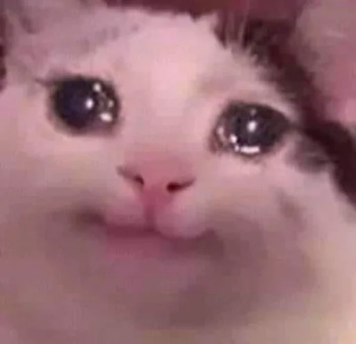 🙂 Стикер «ಥ_ಥ» для Telegram