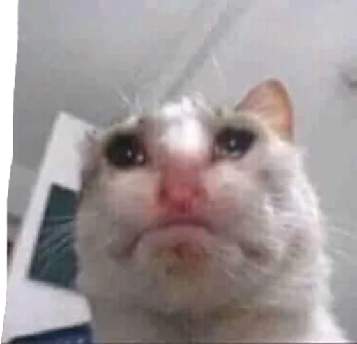 🥺 Стикер «ಥ_ಥ» для Telegram