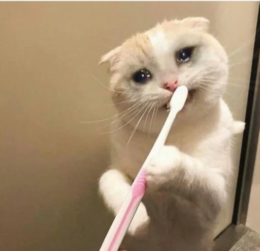 🥴 Стикер «ಥ_ಥ» для Telegram