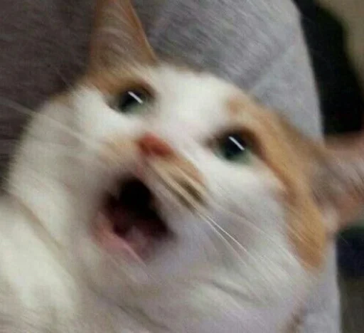 😨 Стикер «ಥ_ಥ» для Telegram