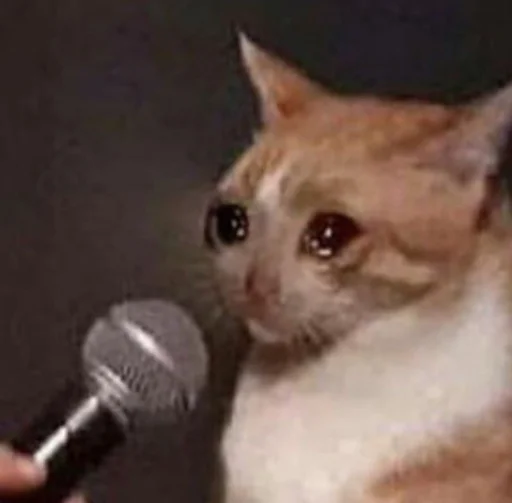 😥 Стикер «ಥ_ಥ» для Telegram