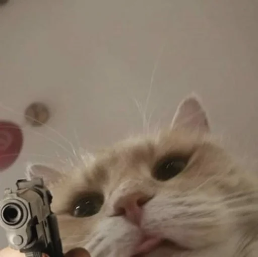 😡 Стикер «ಥ_ಥ» для Telegram