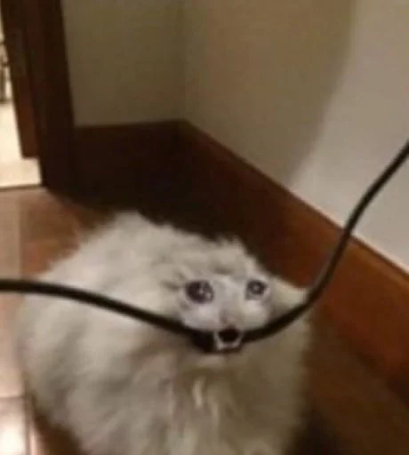 😓 Стикер «ಥ_ಥ» для Telegram