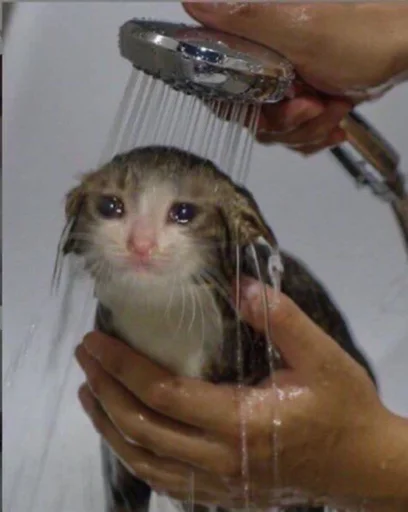 💧 Стикер «ಥ_ಥ» для Telegram