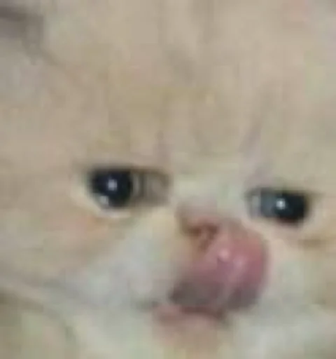 😋 Стикер «ಥ_ಥ» для Telegram