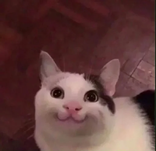 ☺️ Стикер «ಥ_ಥ» для Telegram
