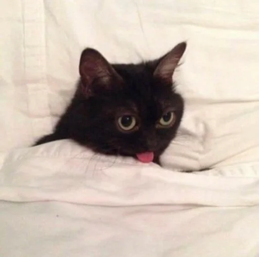 😛 Стикер «ಥ_ಥ» для Telegram
