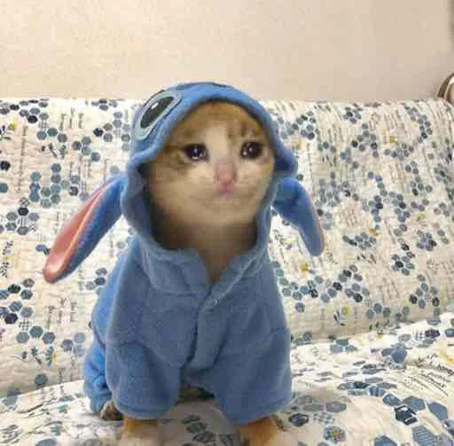 🥺 Стикер «ಥ_ಥ» для Telegram