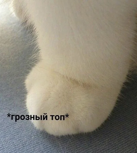 👊 Стикер «ANIM3M3S» для Telegram