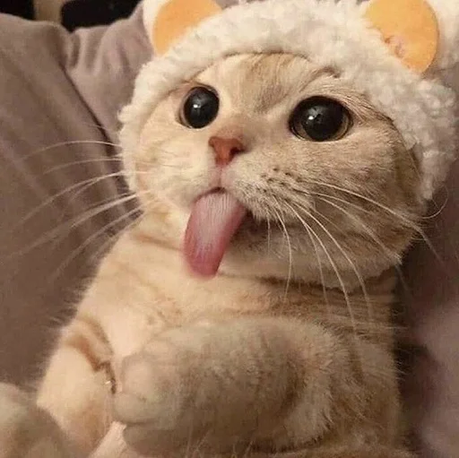 😛 Стикер «ANIM3M3S» для Telegram