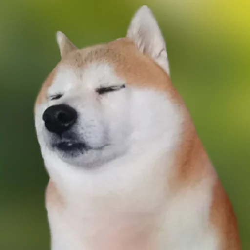 ☺️ Стикер «ANIM3M3S» для Telegram