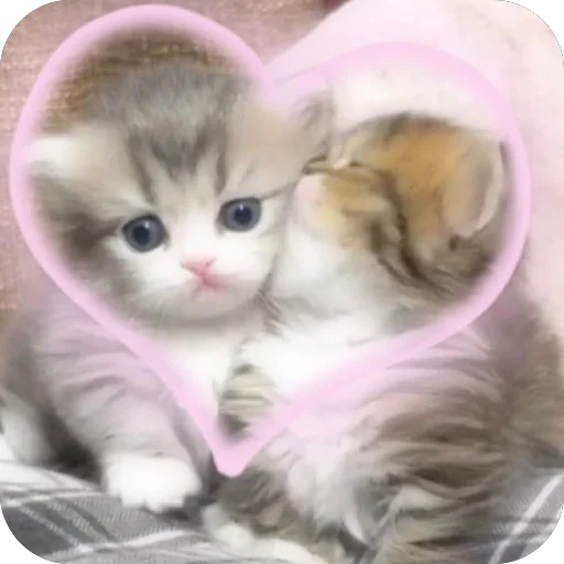 ❤ Стикер «meme!! ‍⬛» для Telegram