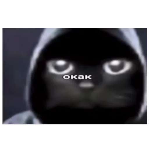 🫥 Стикер «meme!! ‍⬛» для Telegram