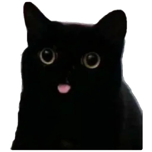 😸 Стикер «Anak_kucing» для Telegram