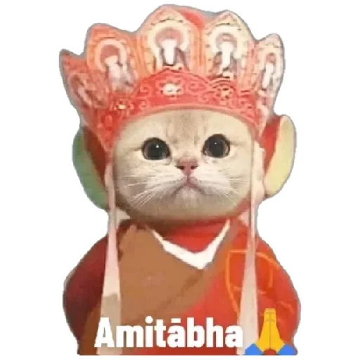 😸 Стикер «Anak_kucing» для Telegram