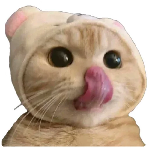 😸 Стикер «Anak_kucing» для Telegram