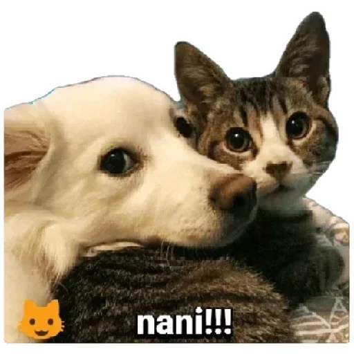 😸 Стикер «Anak_kucing» для Telegram