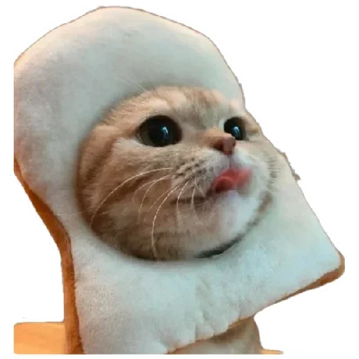 😸 Стикер «Anak_kucing» для Telegram