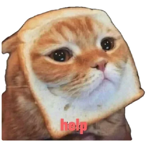 😸 Стикер «Anak_kucing» для Telegram