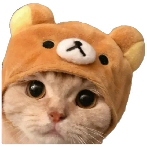 😸 Стикер «Anak_kucing» для Telegram