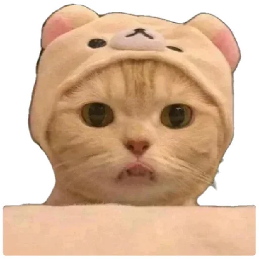 😸 Стикер «Anak_kucing» для Telegram