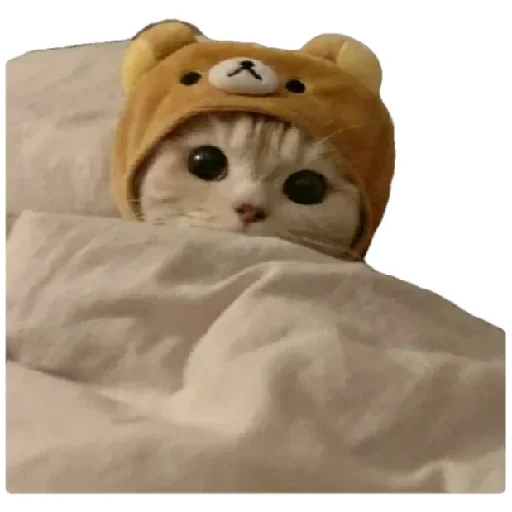 😸 Стикер «Anak_kucing» для Telegram