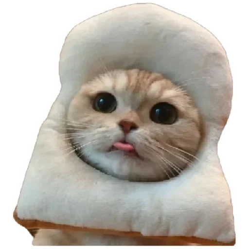 😸 Стикер «Anak_kucing» для Telegram