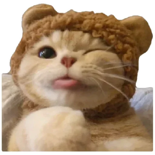 😸 Стикер «Anak_kucing» для Telegram