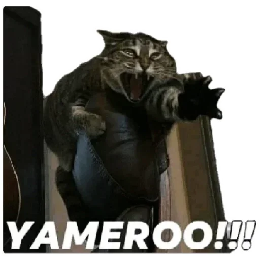 😸 Стикер «Anak_kucing» для Telegram