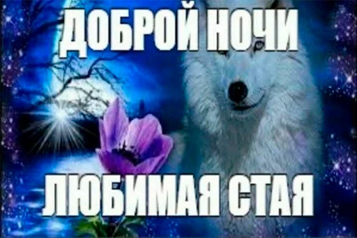 🐺 Стикер «серьёзный пак» для Telegram